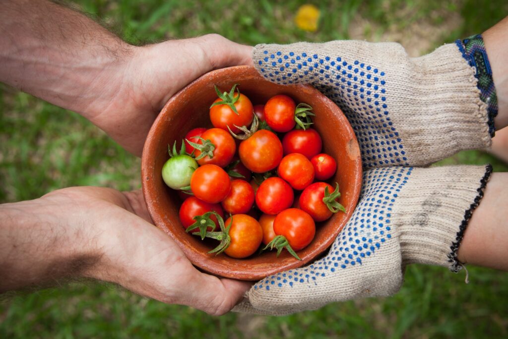 How to keep food safe during the summer | offadiet.com